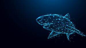 Shark Background